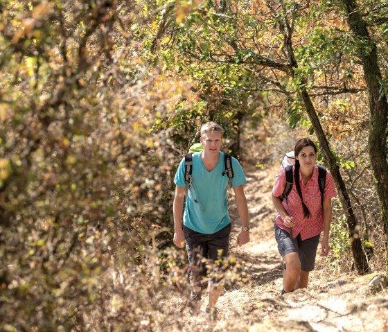 Wandern auf der Nat´Our Route 5, © Eifel Tourismus GmbH, Dominik Ketz