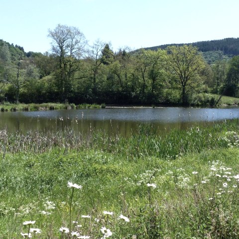 Stausee Irsental, © Tourist-Info Islek, Ingrid Wirtzfeld