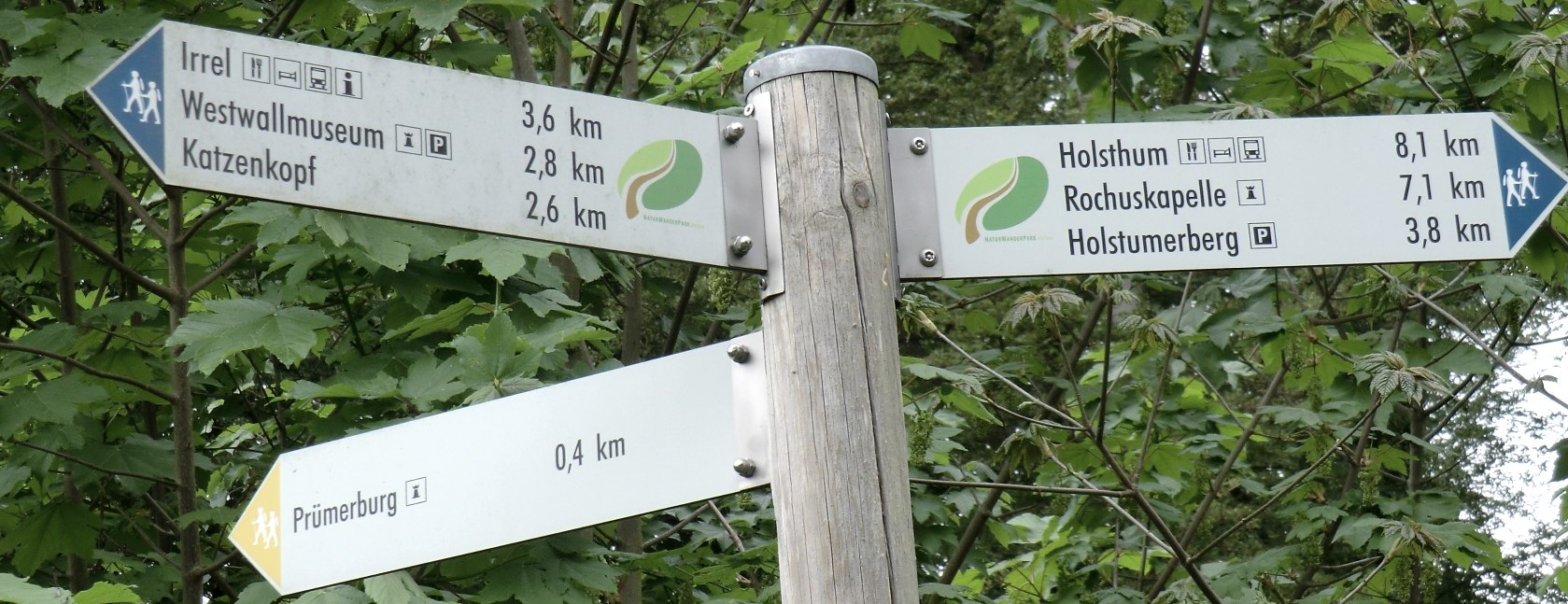 Die Wegweiser zeigen die nächsten Zielorte auf der Wanderroute., © Naturpark Südeifel