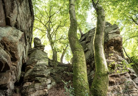 Felsen bei der Mandrack Passage im NaturWanderPark delux, © Eifel Toursimus GmbH, D. Ketz