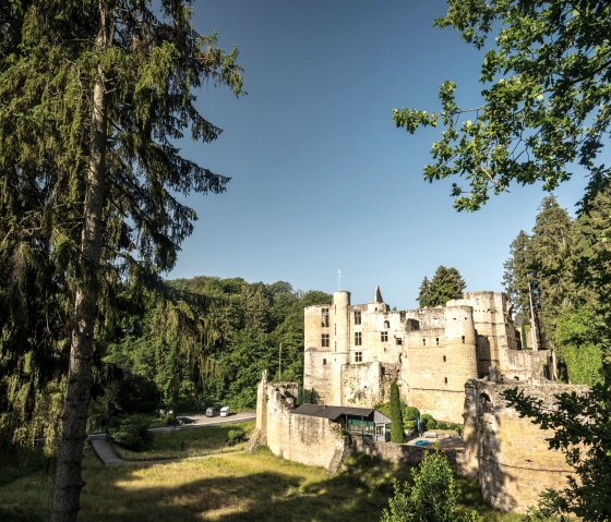 Ruine Schloss Beaufort, © Eifel Tourismus GmbH, D.Ketz