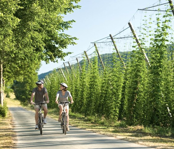 Prüm-Radweg, © Rheinland Pfalz Tourismus GmbH / Dominik Ketz