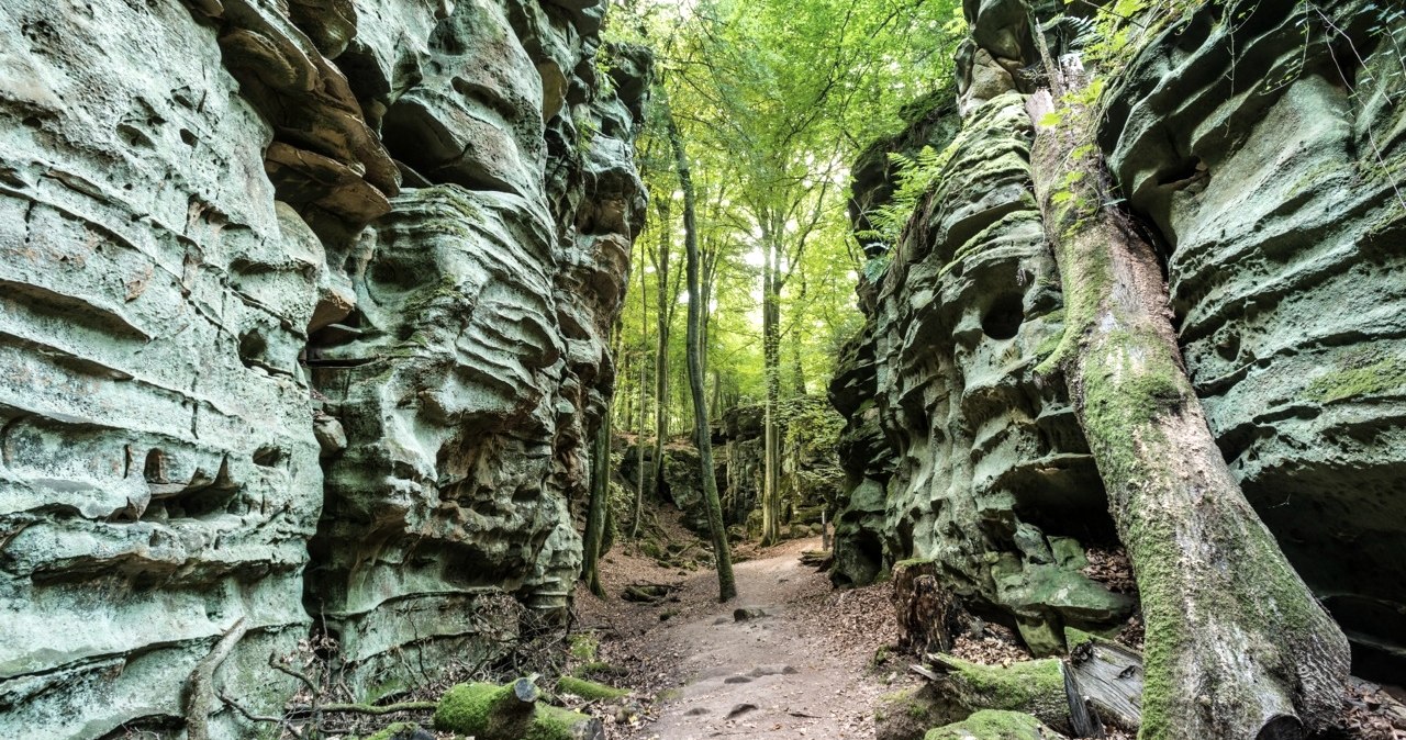 Der Sandstein hat mächtige Felsblöcke auf dem Ferschweiler Plateau gebildet., © Rheinland-Pfalz Tourismus/D.Ketz