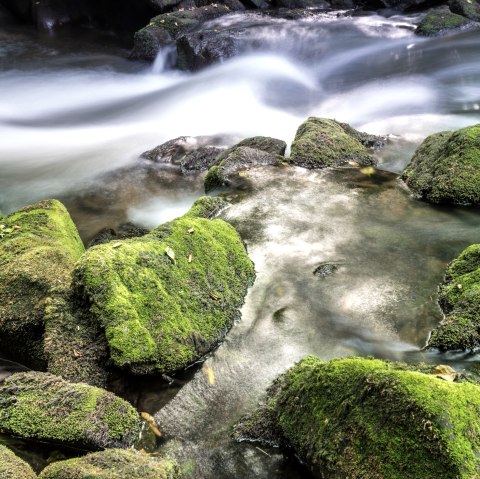 Wasser und Fels, © Rheinland-Pfalz Tourismus, D. Ketz