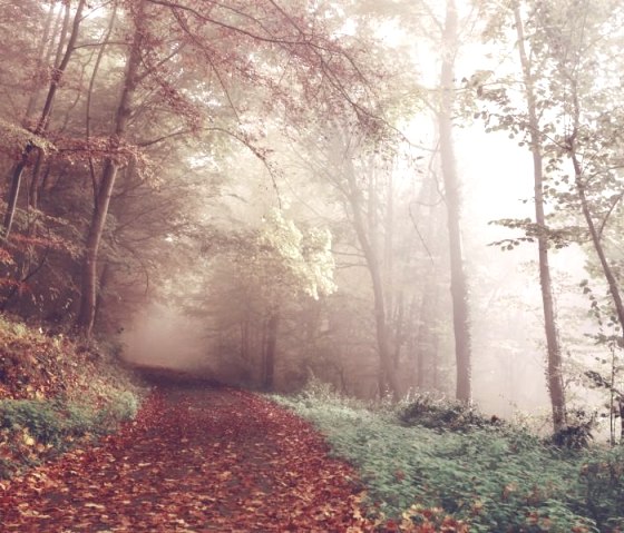 Herbstzeit, © Hotel-Rest. Zum Goldenen Grund