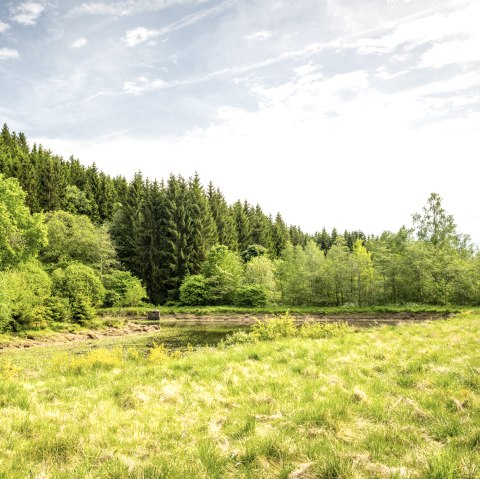 Am Bachpfad, © Eifel Tourismus GmbH/Dominik Ketz