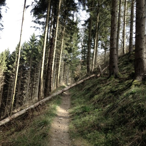 Umleitungen, © Eifel Tourismus