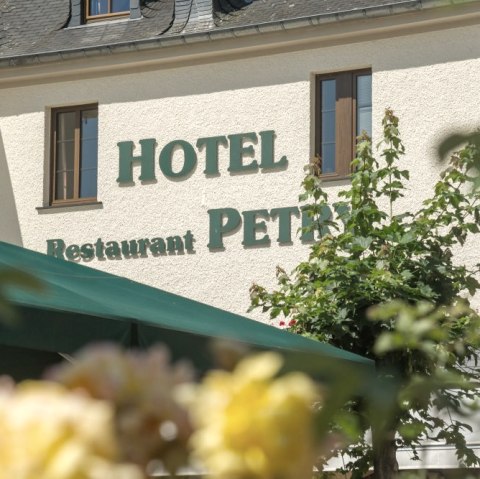 Hotel Petry