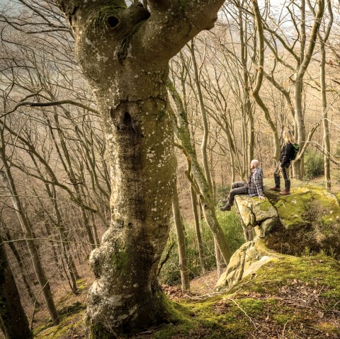 Schroffe Felsen, © Eifel Tourismus GmbH, D. Ketz