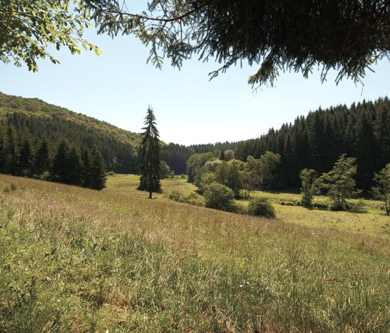 Eifellandschaft auf dem Irsenpfad, © Naturpark Südeifel, Joelle Mathias