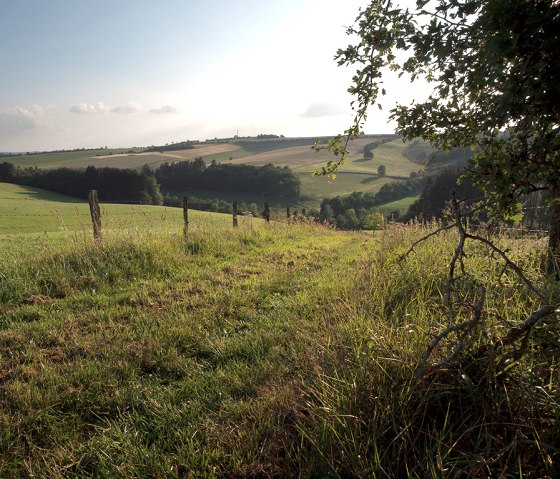 Bach-Pfad, Wiesenweg, © Naturpark Südeifel, V. Teuschler