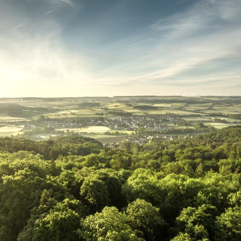 Naturpark Südeifel