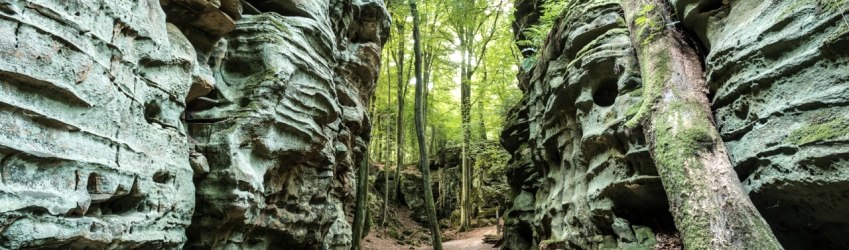Der Sandstein hat mächtige Felsblöcke auf dem Ferschweiler Plateau gebildet., © Rheinland-Pfalz Tourismus/D.Ketz