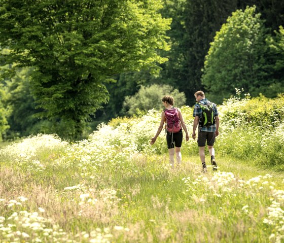 Nat'Our Route 1, Wandern durch blühende Wiesen, © Eifel Tourismus GmbH, Dominik Ketz
