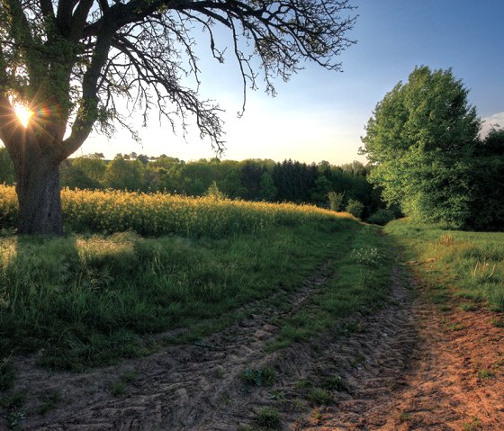 Kylltaler Buntsandsteinroute, © Naturpark Südeifel, Charly Schleder