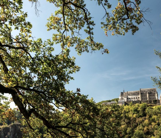 NaturWanderPark delux Vianden, © Eifel Tourismus GmbH, Dominik Ketz