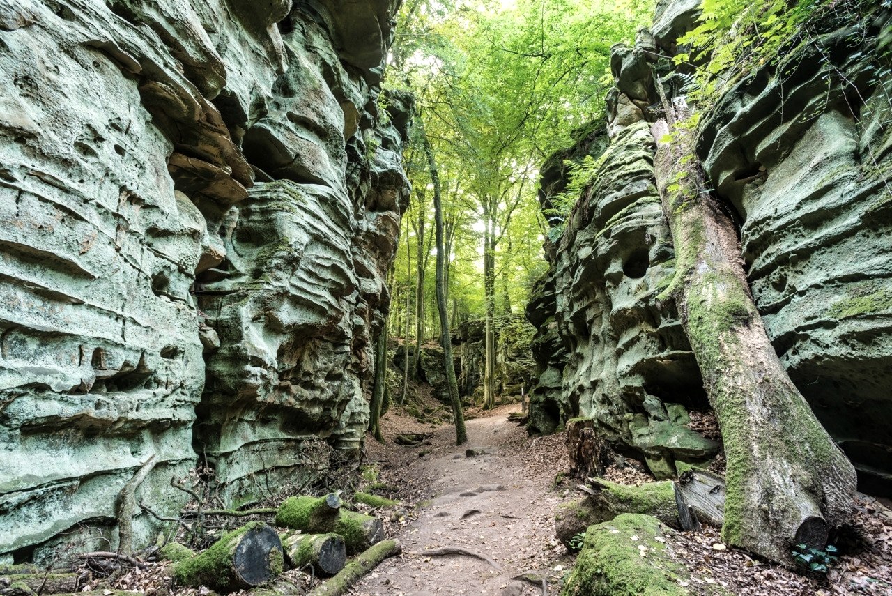 Der Sandstein hat mächtige Felsblöcke auf dem Ferschweiler Plateau gebildet., © Rheinland-Pfalz Tourismus/D.Ketz