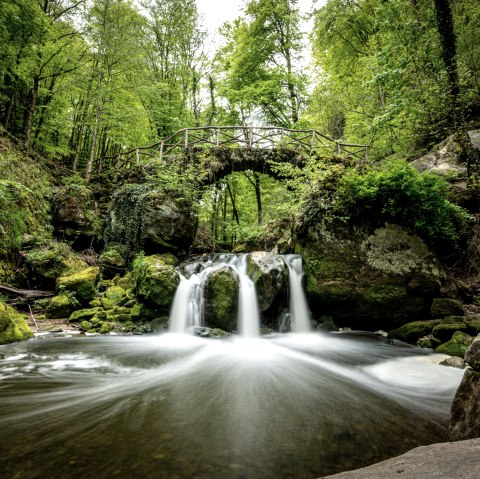  Schiessentümpel, © Eifel Tourismus GmbH, Dominik Ketz