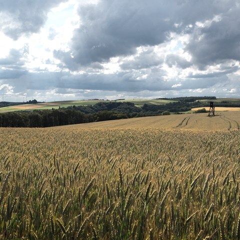 Wallfährte Weidingen, © Naturpark Südeifel, Volker Teuschler