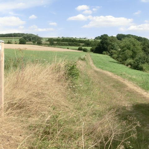 Plakette im Naturwanderpark, © Eifel Tourismus