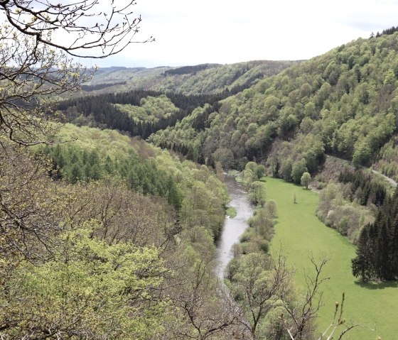 Blick von der Königsley, © ZV Naturpark Südeifel, Raymond Clement