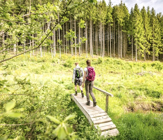 Naturwanderpark deluxe Bach-Pfad Ihrenbach, © Eifel Tourismus GmbH, D. Ketz