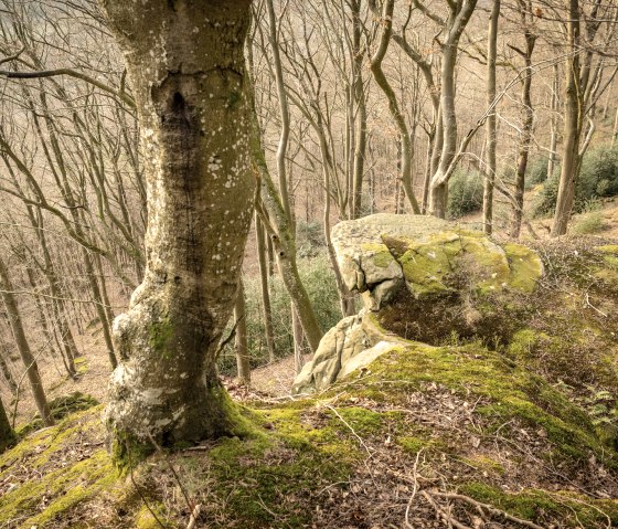 Felsen am Felsenweg 5 - Prümer Burg