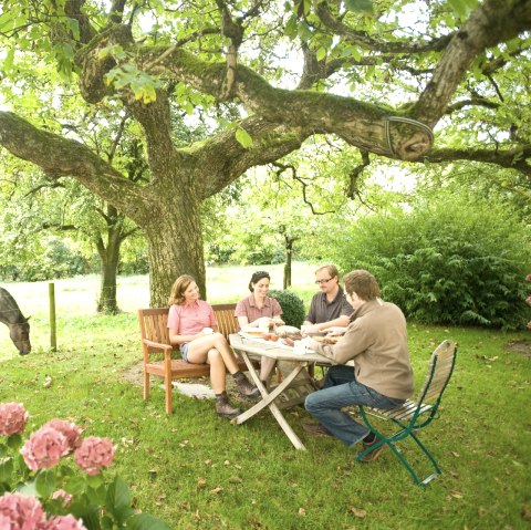 Gastgeber NaturWanderPark delux - Garten, © Eifel Tourismus GmbH, D. Ketz