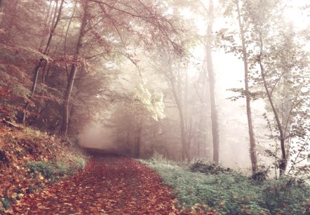 Herbstzeit, © Hotel-Rest. Zum Goldenen Grund